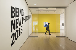 Installation photo, 3 of 93