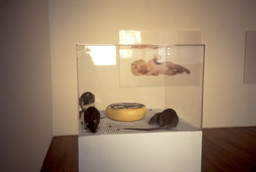 Installation photo, 2 of 4