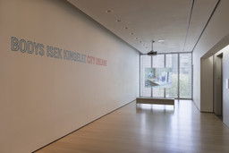 Installation photo, 17 of 29