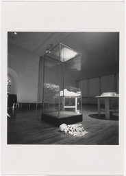 The Museum of Modern Art Archives, New York