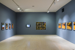 Installation photo, 10 of 16