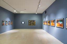 Installation photo, 11 of 16