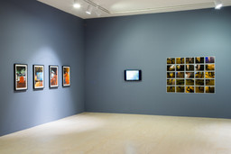 Installation photo, 12 of 16