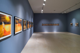 Installation photo, 4 of 16