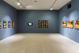 Installation photo, 6 of 16