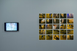 Installation photo, 8 of 16