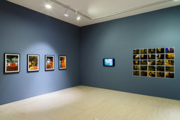 Installation photo, 9 of 16