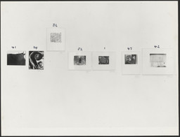 The Museum of Modern Art Archives, New York