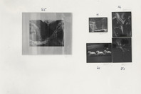 50 Photographs by 50 Photographers. Apr 3–May 15, 1962. 1 other work identified