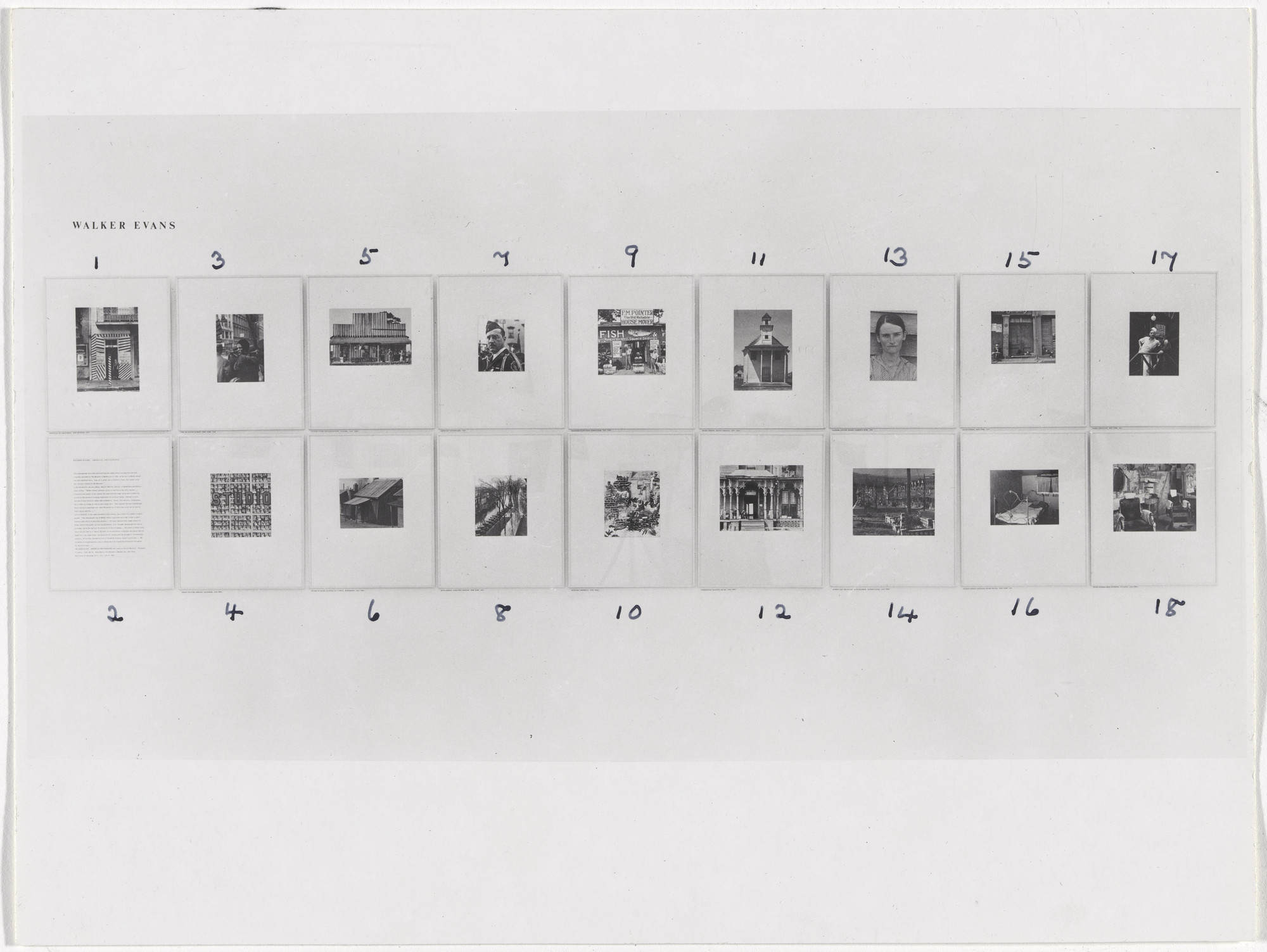 Walker Evans American Photographs MoMA