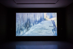 Installation photo, 38 of 54