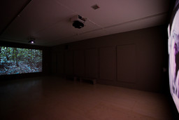Installation photo, 4 of 54