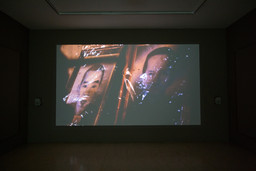 Installation photo, 46 of 54