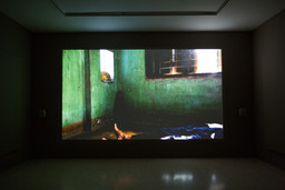 Installation photo, 47 of 54