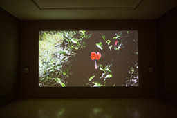 Installation photo, 48 of 54