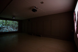 Installation photo, 5 of 54