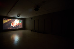 Installation photo, 7 of 54