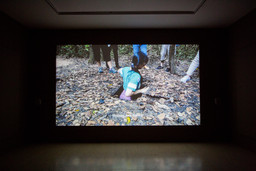 Installation photo, 29 of 54