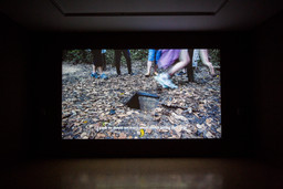 Installation photo, 30 of 54