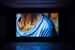 Installation photo, 36 of 54