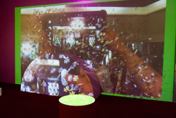 Installation photo, 20 of 20