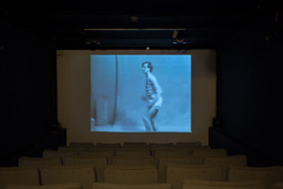 Installation photo, 17 of 82
