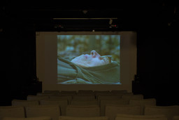 Installation photo, 19 of 82