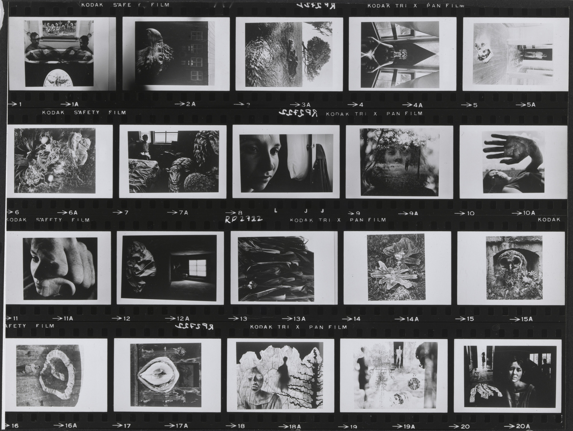 Contact sheet of artwork included in the exhibition 