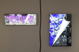 Installation photo, 22 of 36
