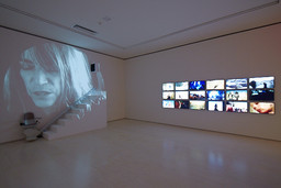 Installation photo, 22 of 45