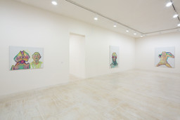 Installation photo, 4 of 29