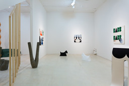 Installation photo, 14 of 18