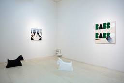 Installation photo, 15 of 18