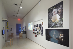 Installation photo, 34 of 45