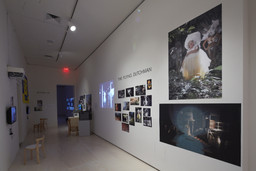 Installation photo, 35 of 45