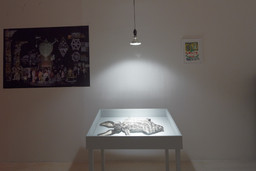 Installation photo, 37 of 45