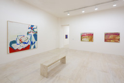 Installation photo, 12 of 29