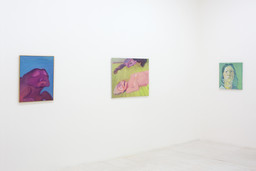 Installation photo, 15 of 29