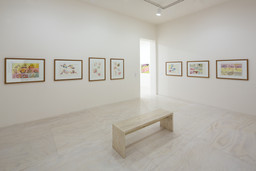 Installation photo, 20 of 29