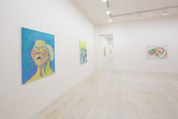 Installation photo, 28 of 29