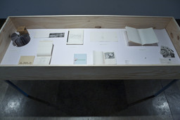Installation photo, 18 of 53