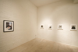 Installation photo, 30 of 72
