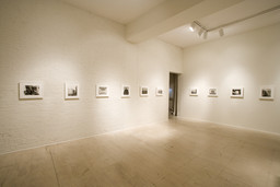 Installation photo, 31 of 72