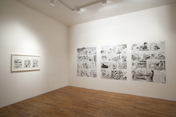 Installation photo, 17 of 25