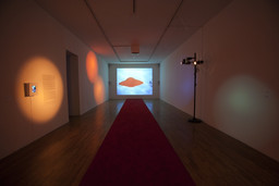 Installation photo, 2 of 25