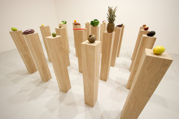 Installation photo, 10 of 24