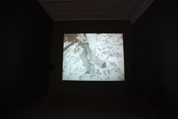 Installation photo, 4 of 72