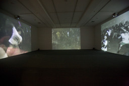 Installation photo, 59 of 72