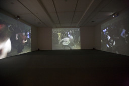 Installation photo, 60 of 72