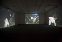 Installation photo, 61 of 72